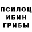 Псилоцибиновые грибы Psilocybine cubensis TARO GENTLEMAN