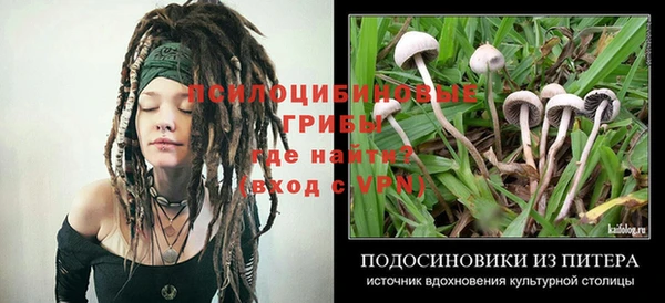 спиды Аркадак